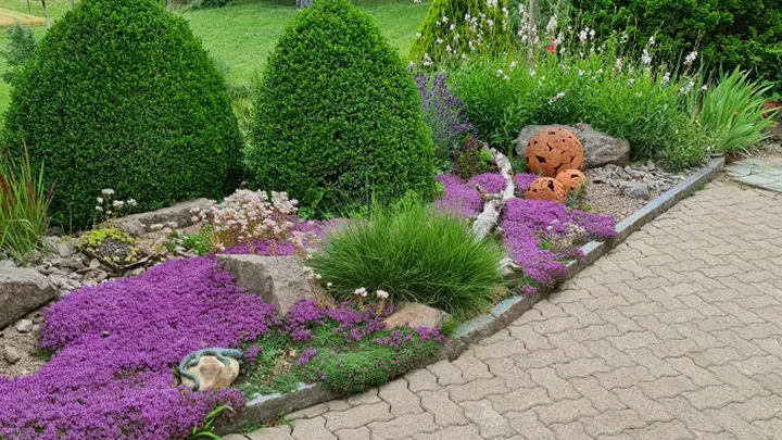 Sacher Garten Poolbau