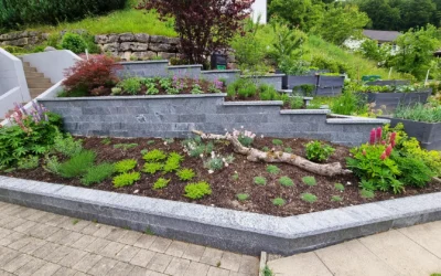 Sacher Gartenbau – Ihr Experte für Gartenplanung