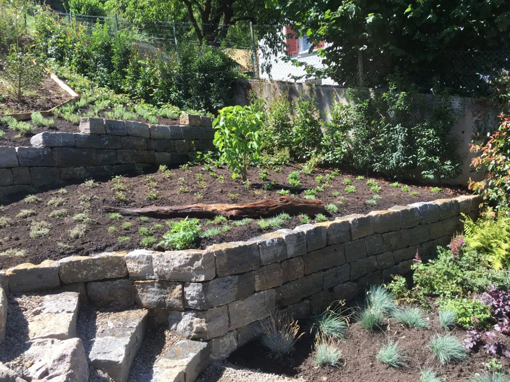 Sacher Gartenbau Bepflanzungen