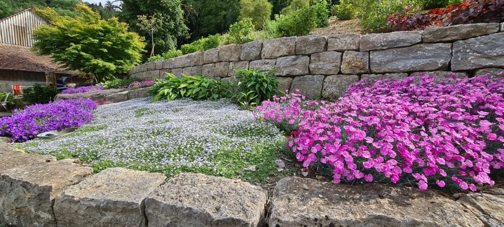 Sacher Gartenbau Bepflanzungen