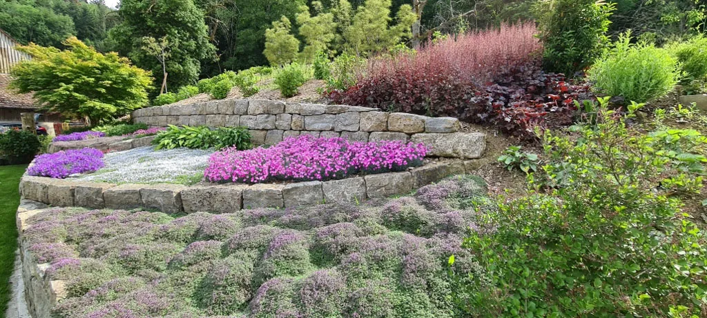 Sacher Gartenbau Bepflanzungen