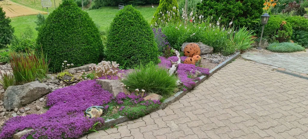 Sacher Gartenbau Bepflanzungen