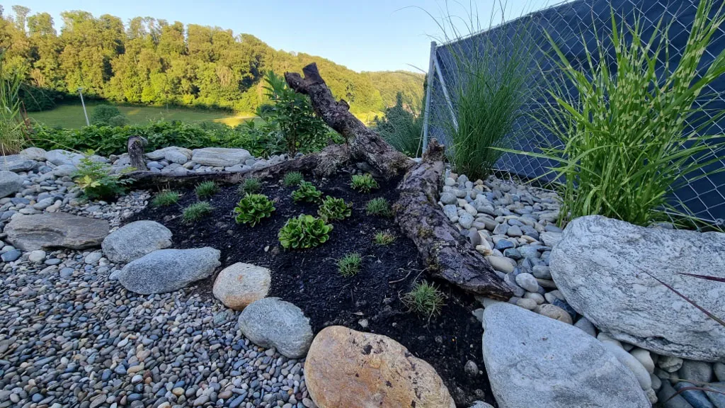 Sacher Gartenbau Bepflanzungen