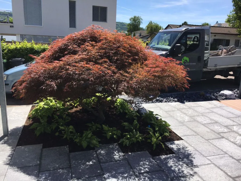 Sacher Gartenbau Bepflanzungen