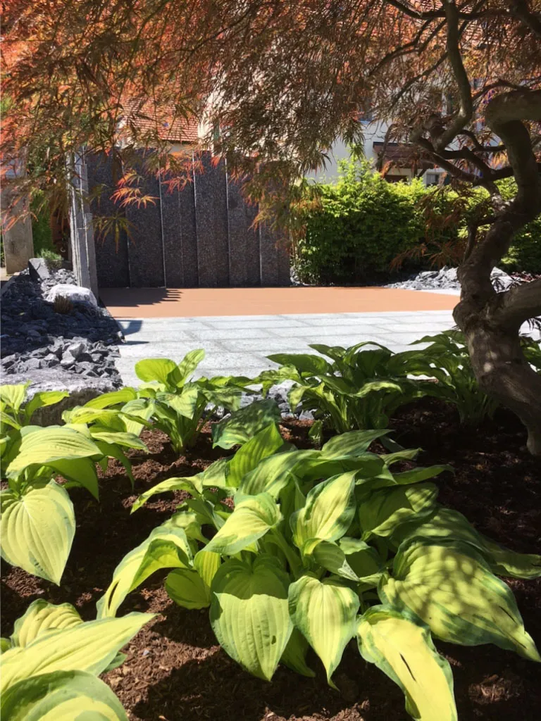 Sacher Gartenbau Bepflanzungen