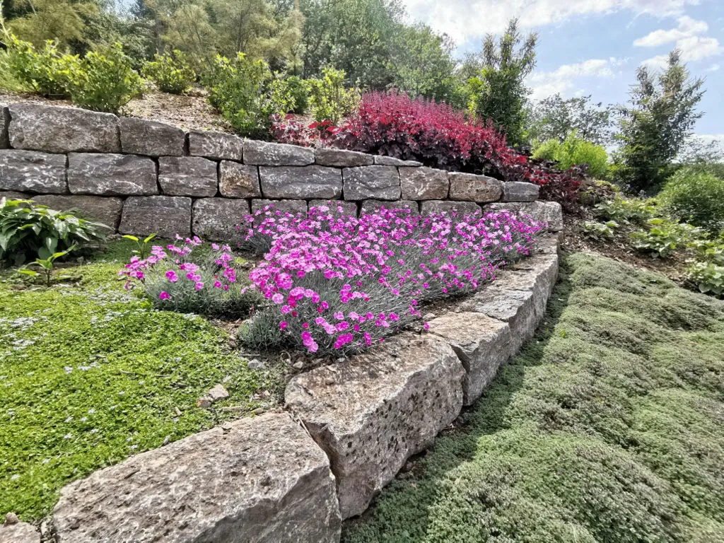 Sacher Gartenbau Bepflanzungen