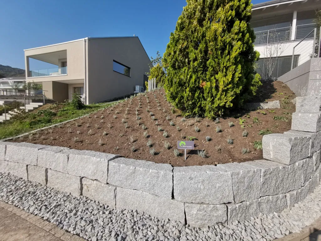 Sacher Gartenbau Bepflanzungen