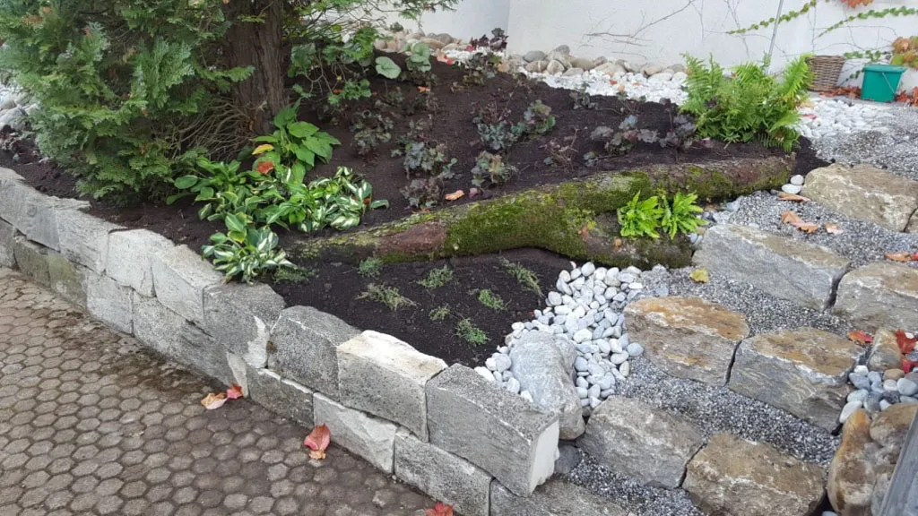 Sacher Gartenbau Bepflanzungen