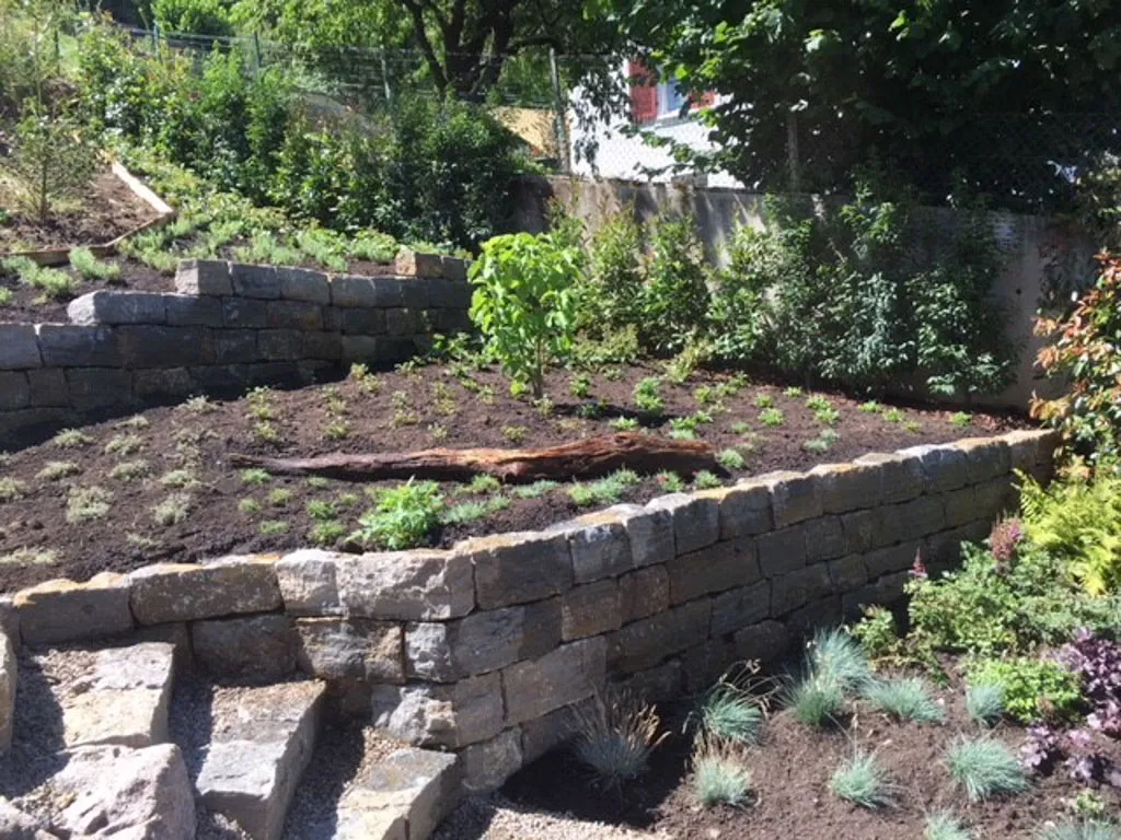Sacher Gartenbau Mauern