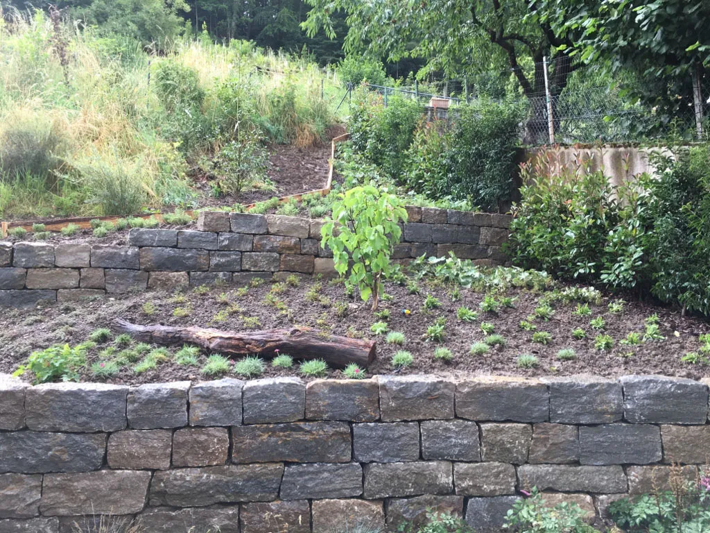 Sacher Gartenbau Mauern