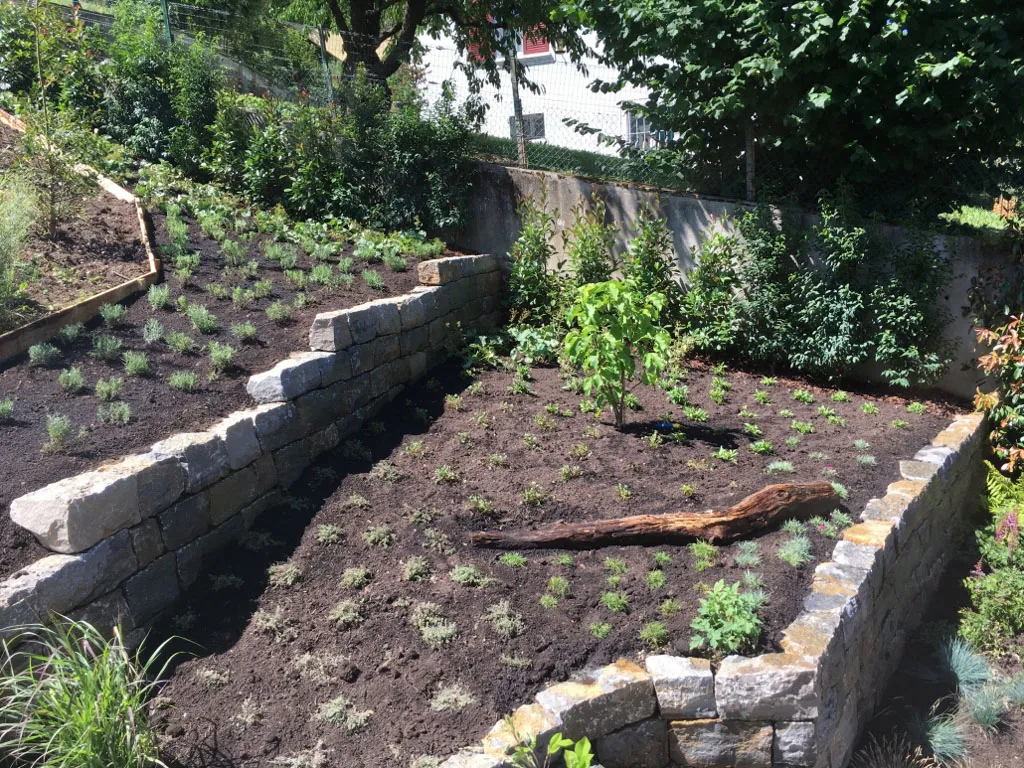 Sacher Gartenbau Mauern