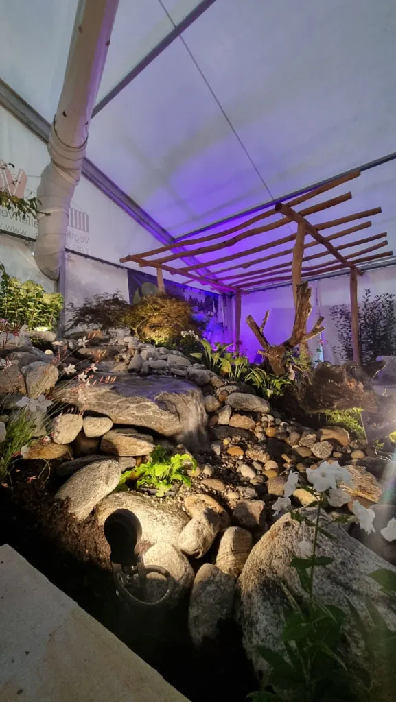 Sacher Gartenbau Wasser im Garten