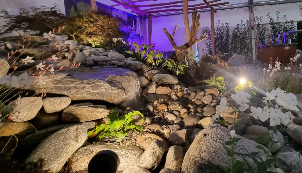 Sacher Gartenbau Wasser im Garten