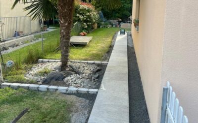 Gartenbau in Möhlin 🌿